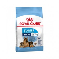 Royal Canin Dog Maxi Starter Mother & Babydog 4 kg